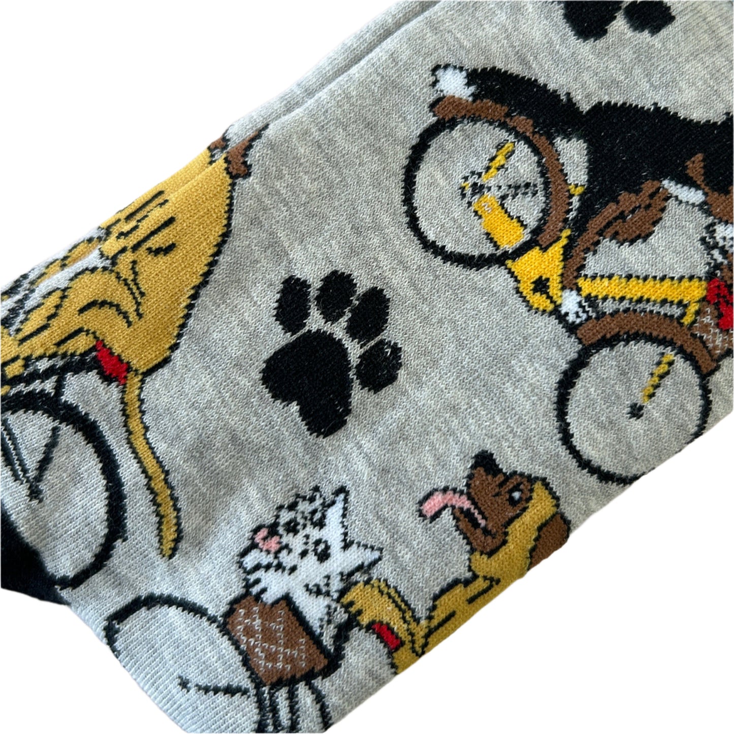 Dogs Riding Bikes Socks