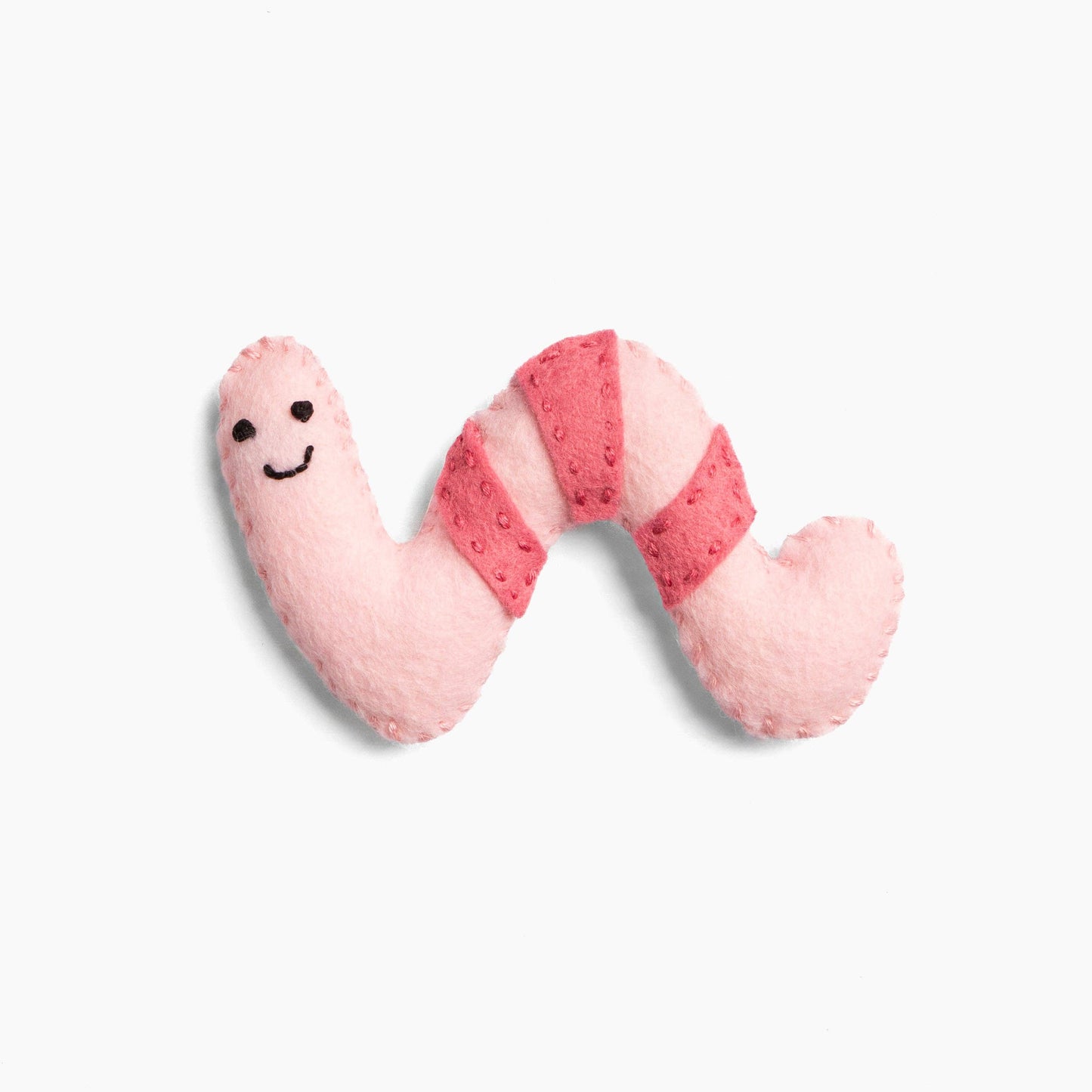 Winnie the Wry Worm - DIY Craft Kit