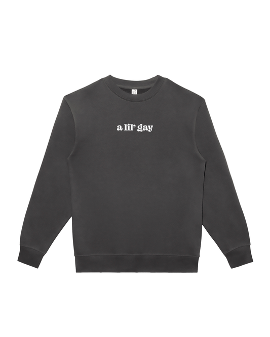 A lil' gay Pride Fleece